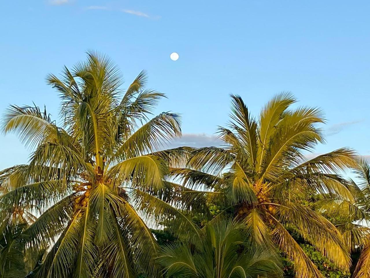Sasagara Beach Villa Тангалла Экстерьер фото